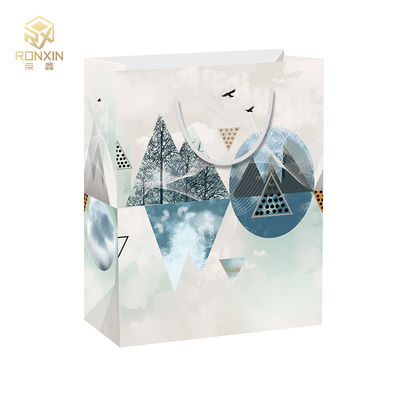 Coated Printed Paper Shopping Bag , Garment Shopping Bag Customized Size