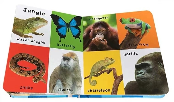 Offset Printing Hardcover Children'S Books Gloss Lamination